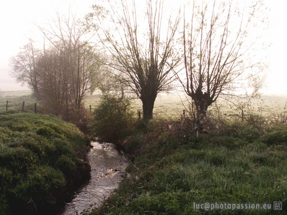 la rivière Rédan dans la brume du matin