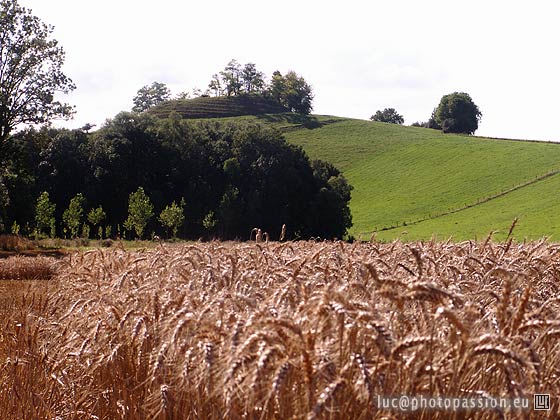 La Motte vue du Sud-Est.