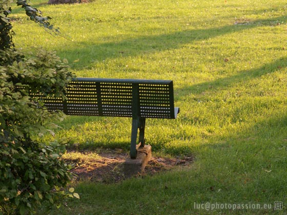Dans le square...