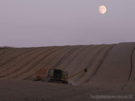Les moissons se prolongeront autant que ncessaire durant la nuit.