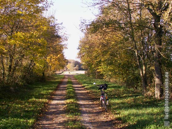Alle champtre, en arrivant vers St-Allyre par le Sud-Est.