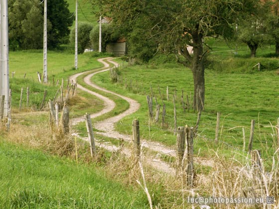 Chemin allant de Montvernet � Guignechien.